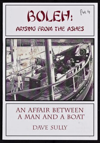 Book - Arising from the Ashes